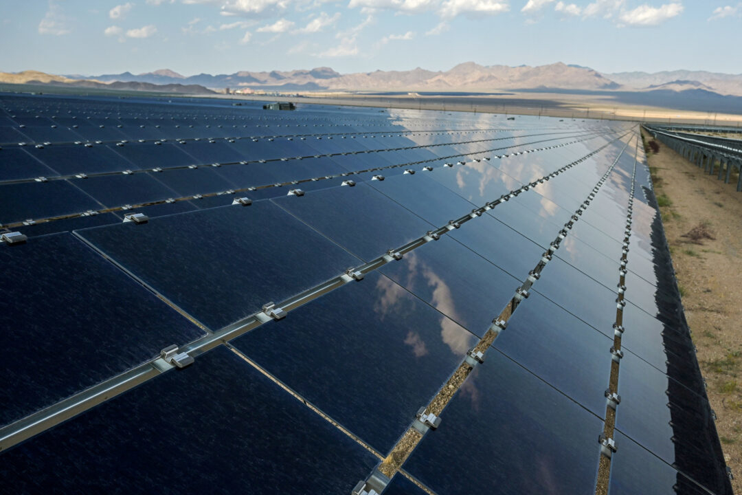 Solar panels are seen at the Desert Stateline project near Nipton, California, U.S. August 16, 2021. REUTERS/Bridget Bennett